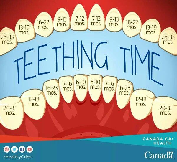Safe and Non-Toxic Teething Alternatives!