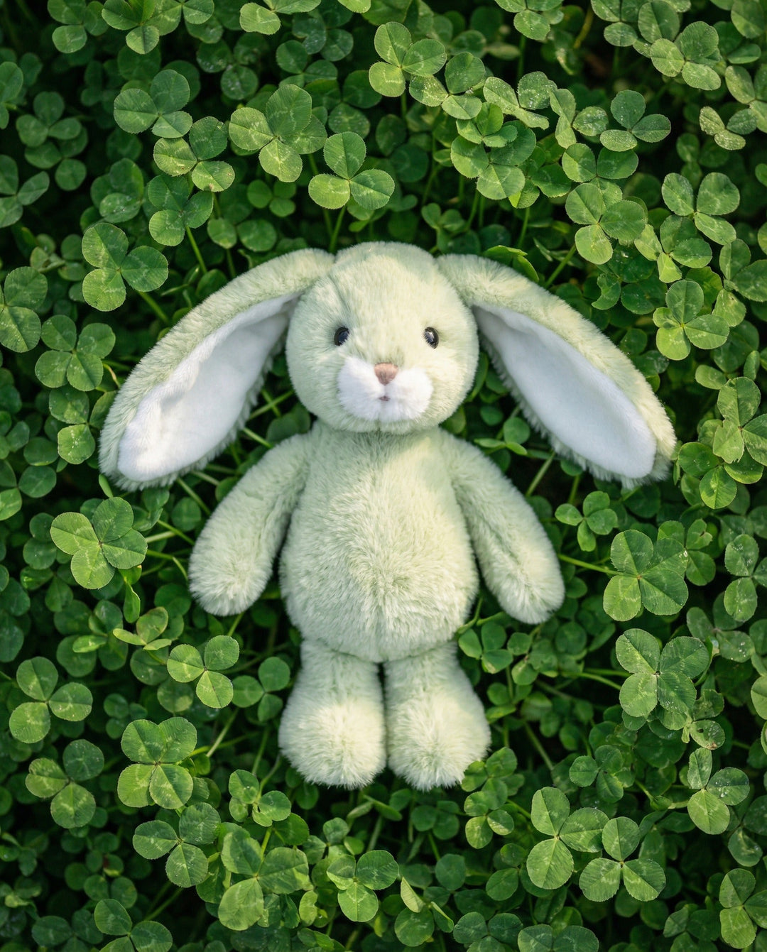 Easter Collection 2026