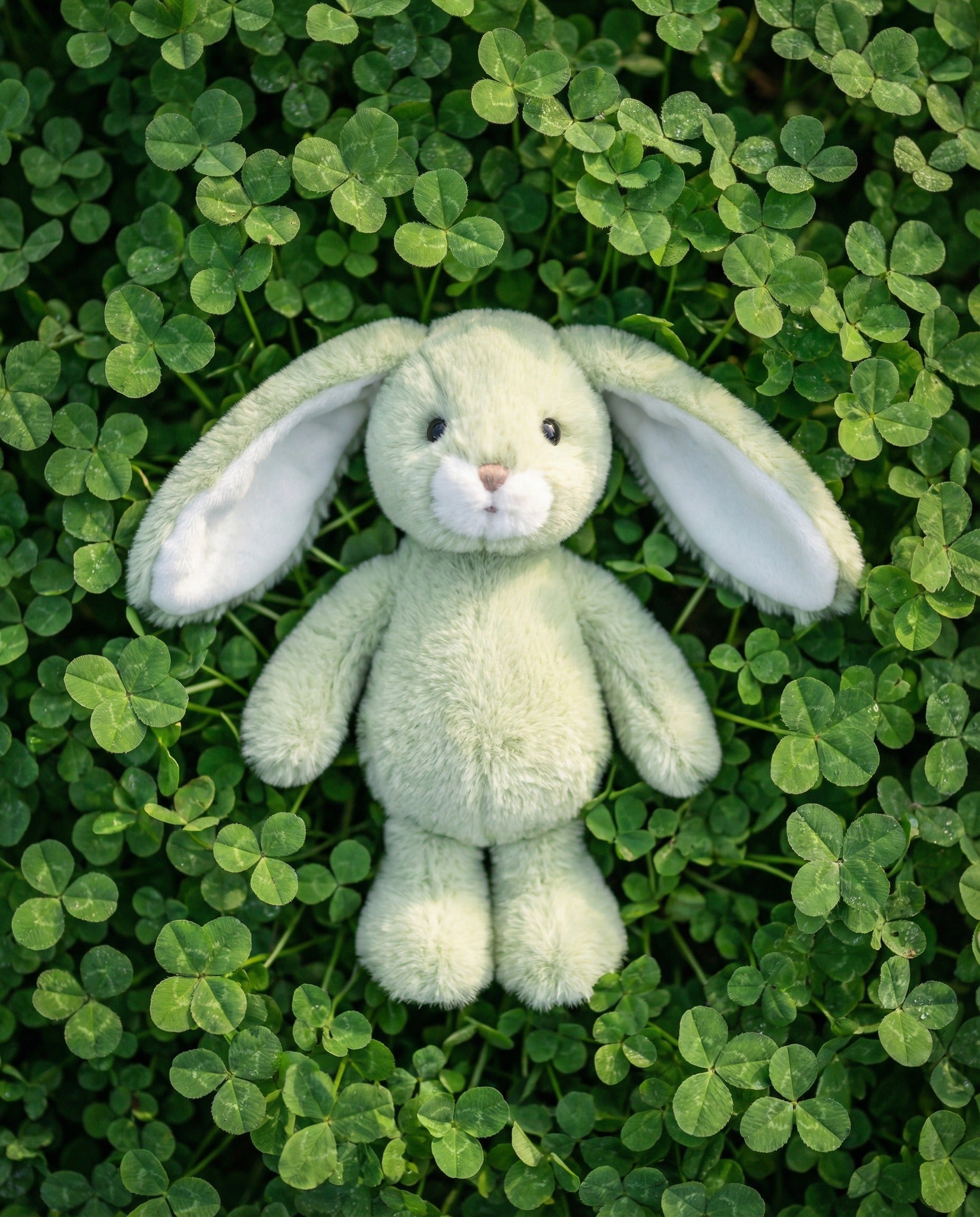 Easter Collection 2026