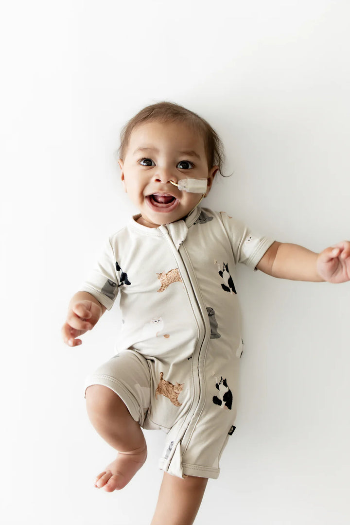Kyte Baby Zippered Shortall Romper - Fluffy Cat