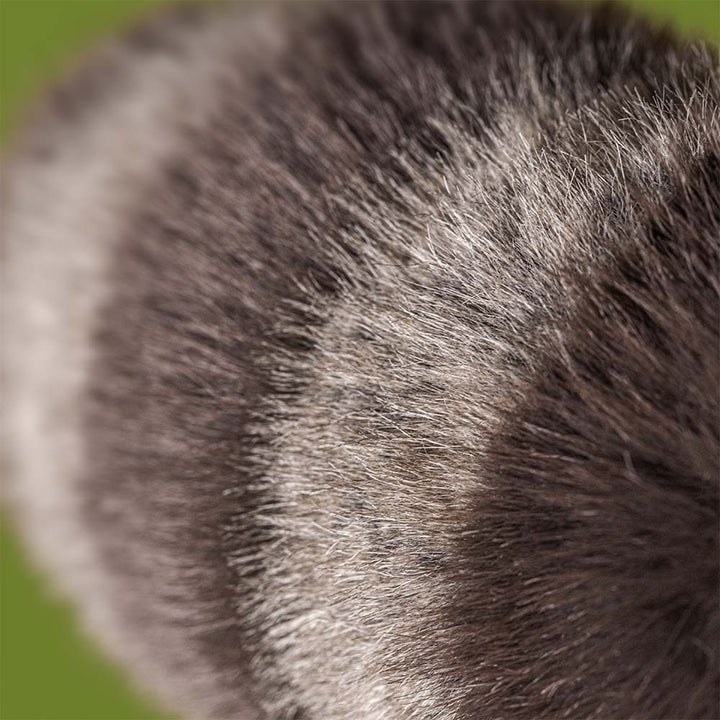Jellycat Trixiwood Raccoon